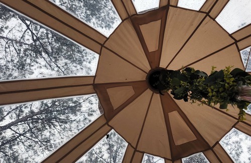 Conroe Cabin | Rustic Glamping with Goats in Forest Near Houston