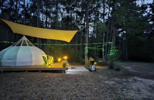 Conroe Cabin | Rustic Glamping with Goats in Forest Near Houston