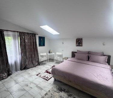 Pantelimon House | Rustic House