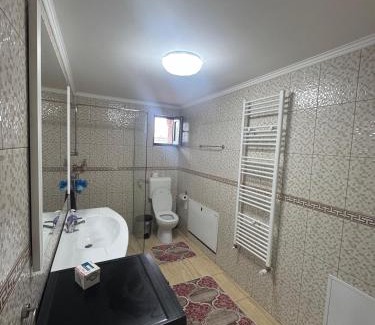 Pantelimon House | Rustic House