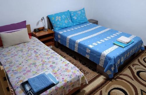 Turnu Magurele House | Rustic house