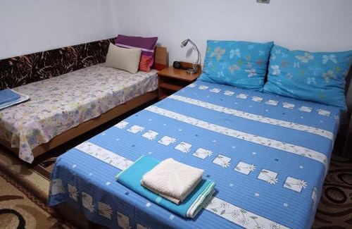 Turnu Magurele House | Rustic house
