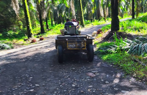 Parrita Cabin | Rustic log cabin