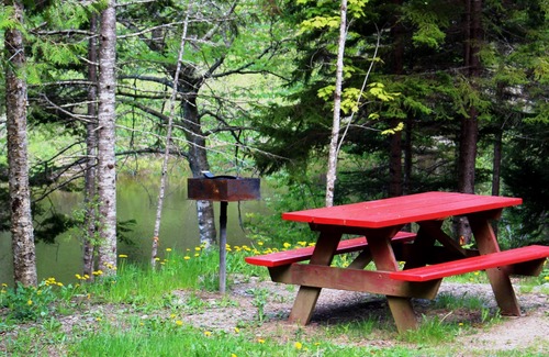 Dennysville Cottage | Rustic log cottage, River-view, Pet-friendly, Downeast Maine