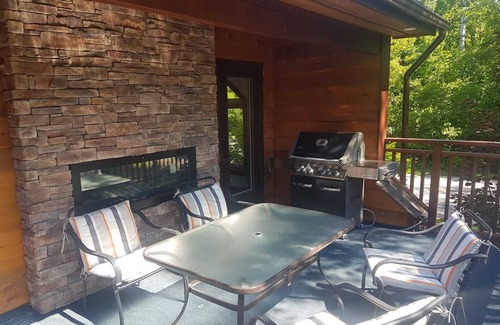 Barrie Ski Chalet | Rustic luxury chalet with pool, a two-minute walk to beach, park and playground!