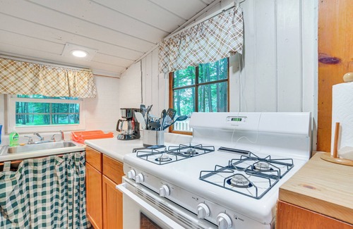 Rose City Cabin | Rustic Michigan Lakeside Cabin w/Private Dock!