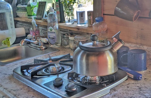 Cantwell Cabin | Rustic Moose Cabin Getaway - Glamping