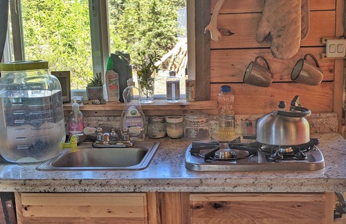 Cantwell Cabin | Rustic Moose Cabin Getaway - Glamping