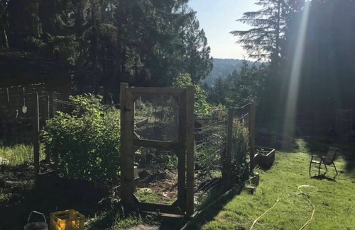 Saanich House | Rustic Romantic Quiet Private Colorful- Surrounded Cedar trees - Sleeps 8