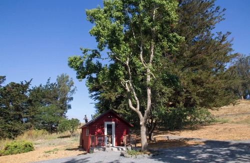 Petaluma Cottage | Rustic Studio Cottage on Organic Cattle Ranch