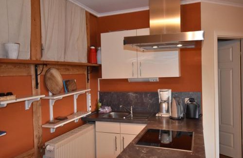 Neu Bartelshagen Apartment | Rustic-style Apartment in Buschenhagen with Garden