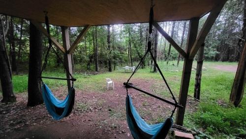 Elba House | Rustic Tree House with Woodland Valley Views in Elba, Minnesota