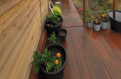 Bacup Cabin | Rustic Valley Cabin at Animal Rescue Sanctuary