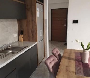Gevgelija Apartment | Ruza Apartments