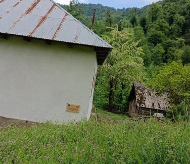 Azerbaijan House | Ruzigar Guesthouse