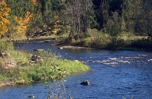 Lawrenceville RV Rental | Rv and campsite on the Deer River. 50 amp, sewage dump. 15x60 pad