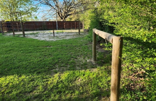 Sulphur Springs RV Rental | RV camping horse friendly!