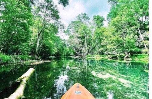 High Springs House | RV on Santa Fe River Close to Ginnie Springs!n