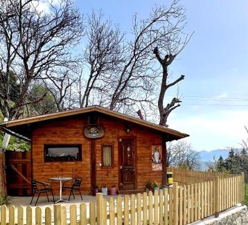 Pavliani House | RVilla