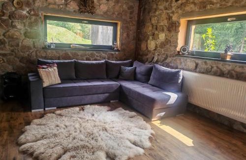 Damuc Ski Chalet | Ryan's Cabin