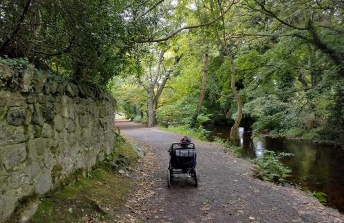 Rostrevor House | Ryan's Cottage