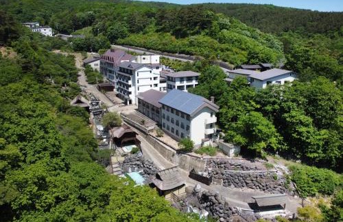 Fukushima Hotel | Ryokan Tamagoyu