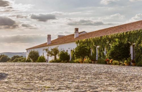 Reguengos de Monsaraz Hotel | São Lourenço do Barrocal