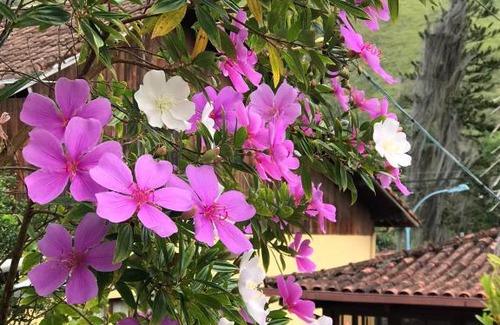 Sao Pedro da Serra House | SÃO PEDRO DA SERRA LOC EXCELLENTE CASINHA DA ROCA