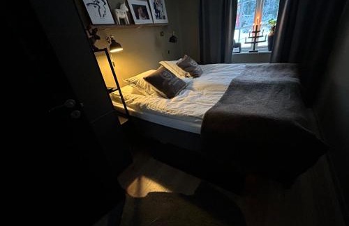 Salen House | Sälen Osanden
