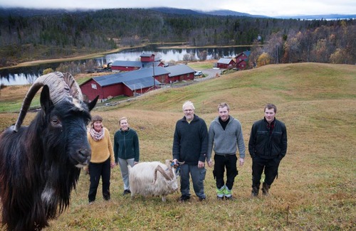 Hemnes Municipality House | Sæterstad Gård