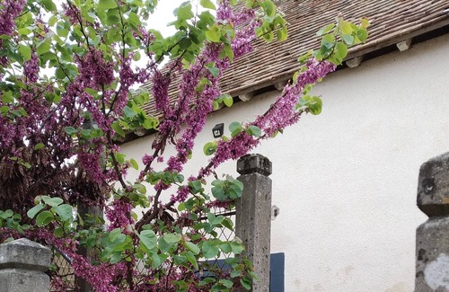 Thorigne-sur-Due House | Séjour Détente: Massage, Réflexologie , Jacuzzi