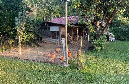 Camboriu Ski Chalet | SÍTIO BOA VISTA Camboriú