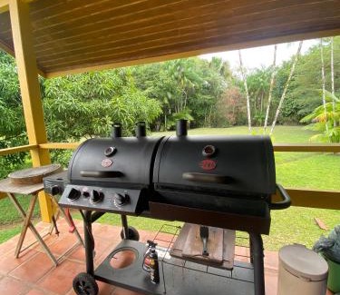 Benevides Ski Chalet | Sítio Borsoilândia