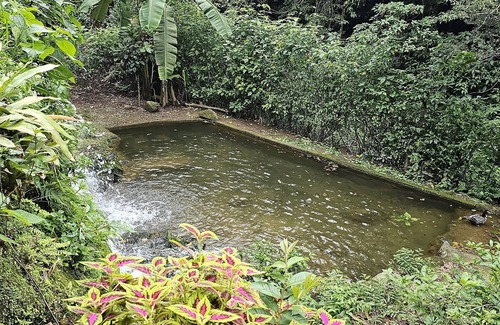 Petropolis House | Sítio com Piscina e Cachoeira em Petrópolis