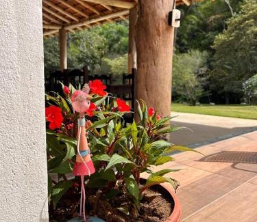 Perobas House | Sítio Cantinho da Roça Perobas