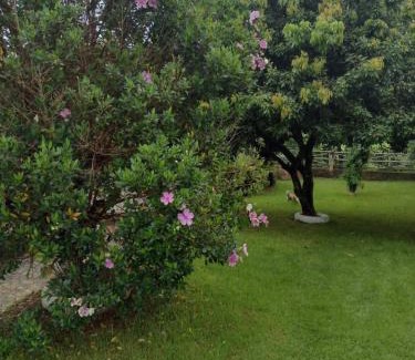 Sao Goncalo do Para House | Sítio do espeto