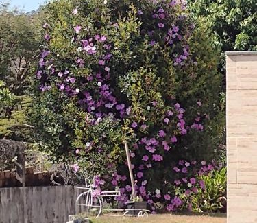 Sao Goncalo do Para House | Sítio do espeto