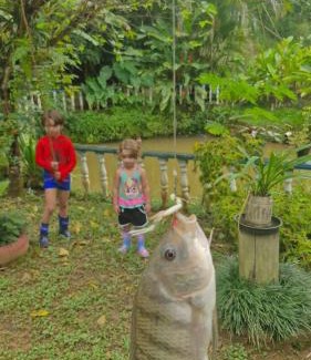 Cachoeiras de Macacu House | Sítio do Sossego