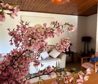 Historic Center Apartment | Sítio do Sossego Chalés e Suítes