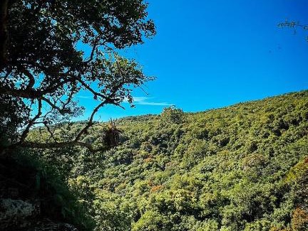 Itati Other | Sítio Doce Mel