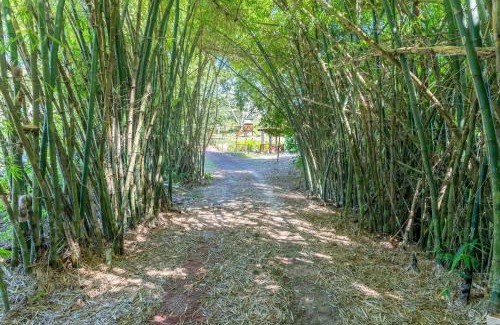 Cha Grande Ski Chalet | Sítio Lumiar Chã Grande Paraíso Ecológico