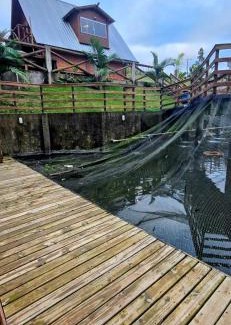 Caruru Ski Chalet | Sítio Machado Mendonca