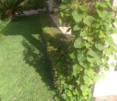 Itapetininga House | Sítio Santa Cecília