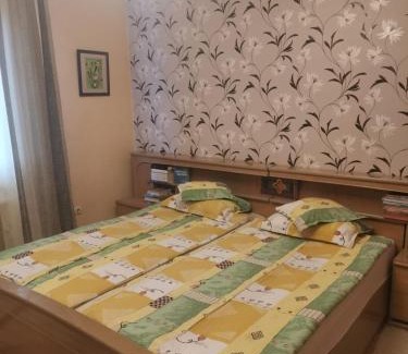 Suseni House | Sólyom Katalin vendégház