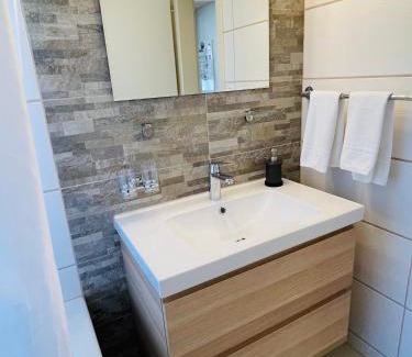 Wilderswil Apartment | S&P Mountain View Apartment 1