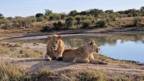 Hazyview Cabin | Sabi river private lodge