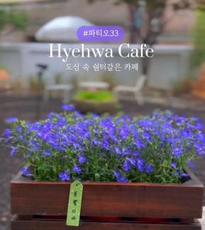 Jongno Apartment | Sabrina in Hyehwa Seoul