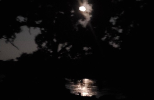 Cottonwood House | Sacramento River Home! Awesome star-watching! Isolated!