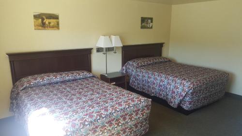Roseburg Hotel | Safari Inn Motel