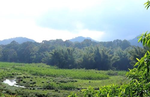 Kumily Hotel | Safariya Forest Inn